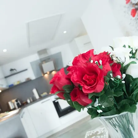 Apartament Perfect Near Opera Bayreuth